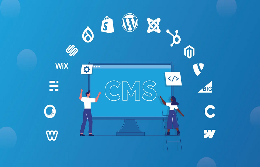 CMS for media companies
